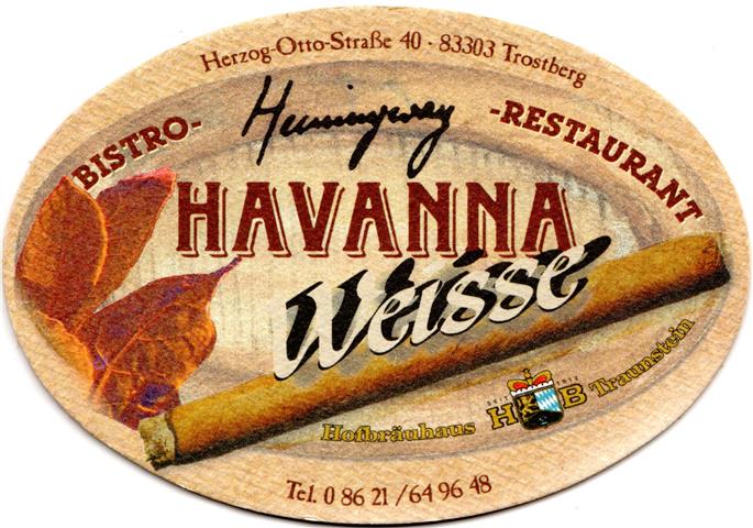 traunstein ts-by hb gast oval 4a (170-havanna weisse)